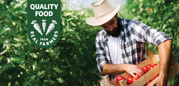 A farmer in a straw hat and plaid shirt harvesting fresh tomatoes in a lush green field. A GREEN badge on the left side highlights "Quality Food from Real Farmers